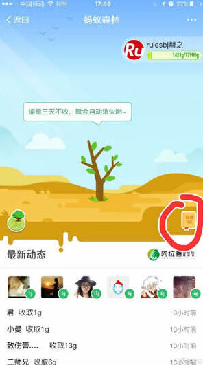 支付宝钉钉