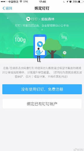 支付宝团队