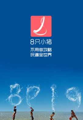 8只小猪生活