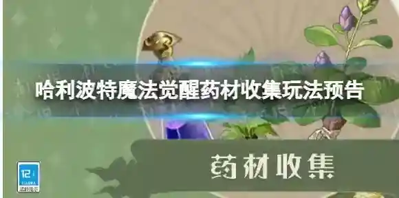 哈利波特魔法觉醒魔法觉醒