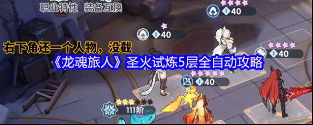 龙魂旅人猫女
