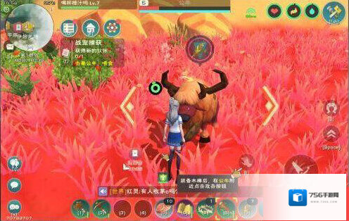 创造与魔法神兽