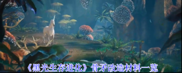 黑光生存进化改造