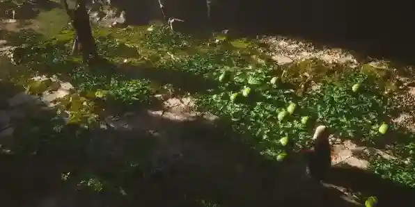 黑神话：悟空变身术