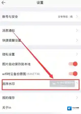 in相机去掉