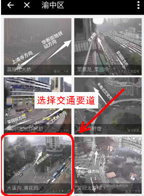 支付宝区域