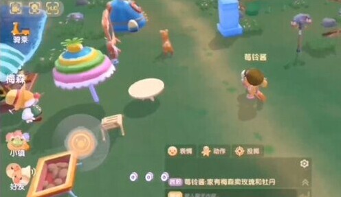 摩尔庄园玫瑰花种子