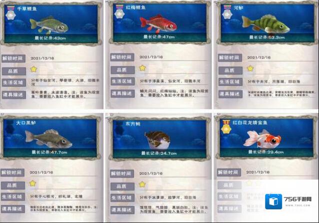 创造与魔法观赏鱼