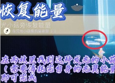 光遇玩家