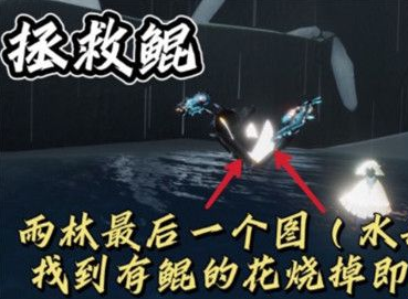 光遇小菇