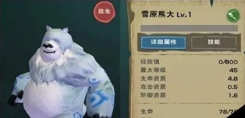 创造与魔法毛布卷
