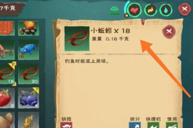 创造与魔法玩家