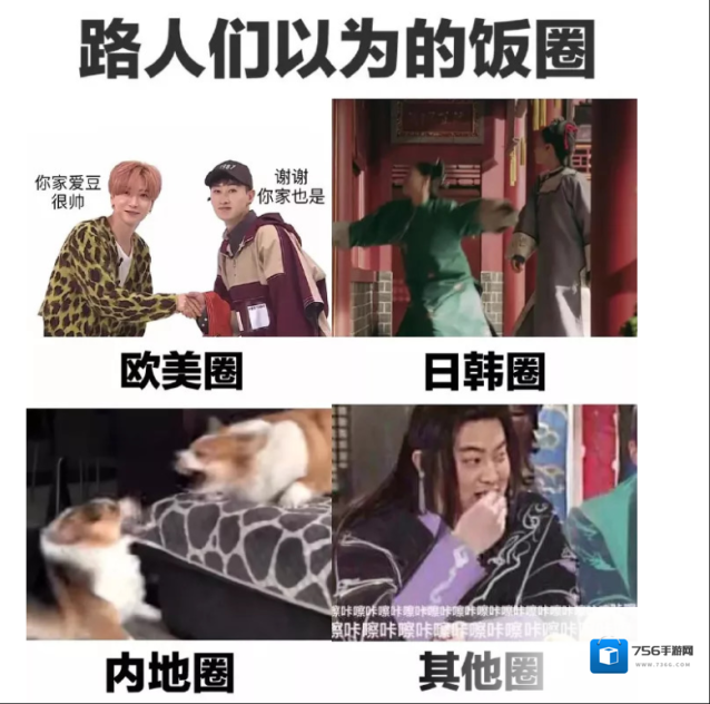 饭圈女孩出处含义介绍