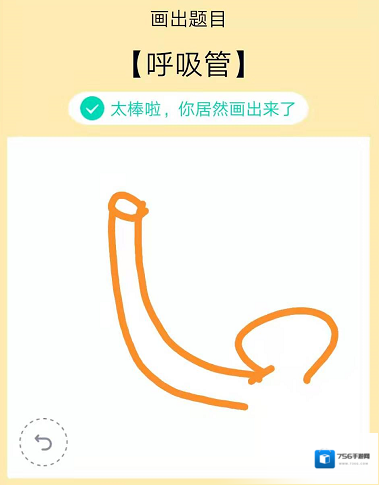 QQ展示