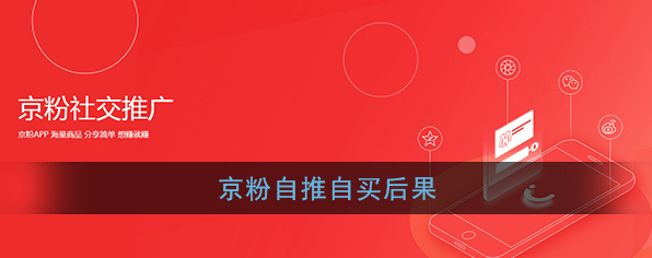 《京粉》自推自买后果