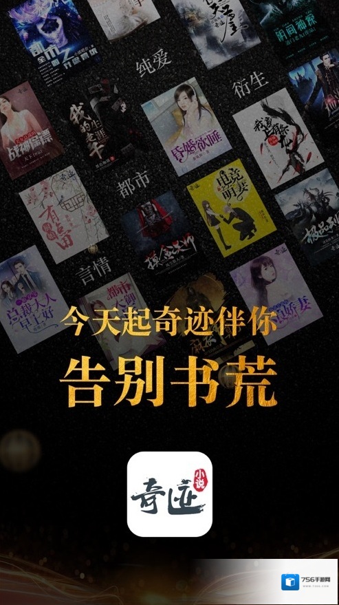 奇迹小说的人