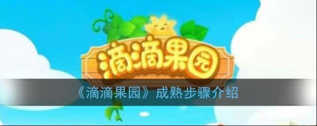 《滴滴果园》成熟步骤介绍
