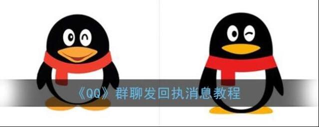 《QQ》群聊发回执消息教程