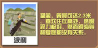 疯狂动物园老鹰大全 老鹰属性图鉴