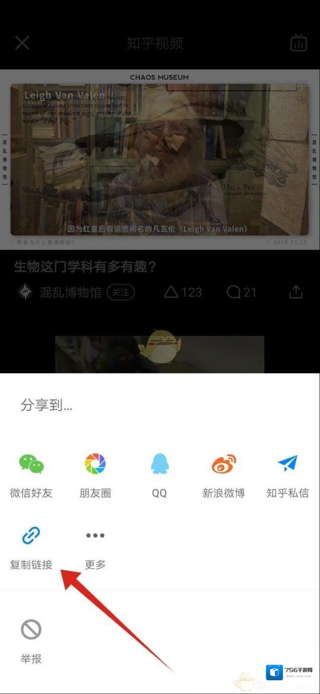 知乎搜索框