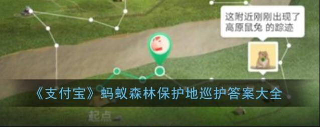 《支付宝》蚂蚁森林保护地巡护答案大全