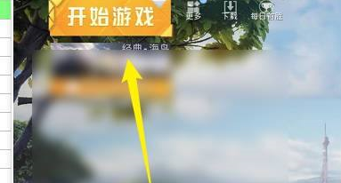 和平精英选项