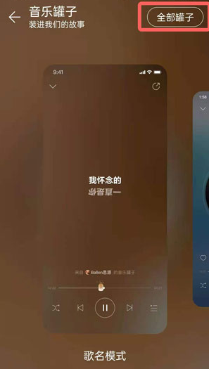 网易云音乐定制