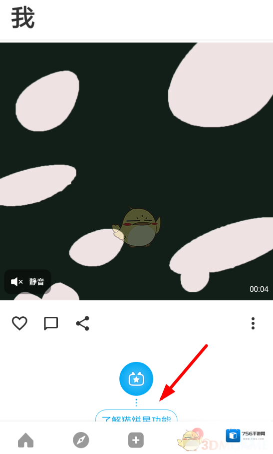 猫饼视频素材