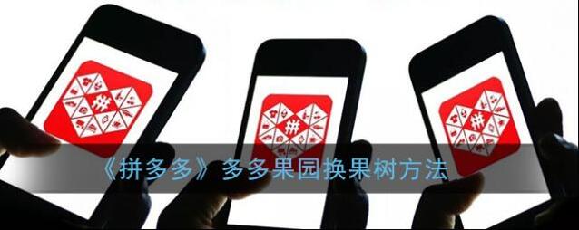 《拼多多》多多果园换果树方法
