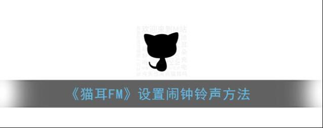 《猫耳FM》设置闹钟铃声方法
