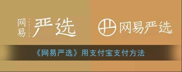 《网易严选》用支付宝支付方法