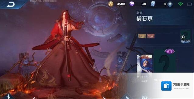 王者荣耀敌人
