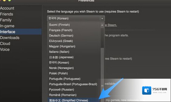 Steam选项