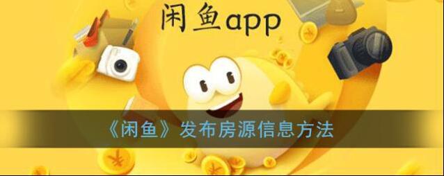 闲鱼信息