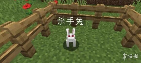 我的世界召唤