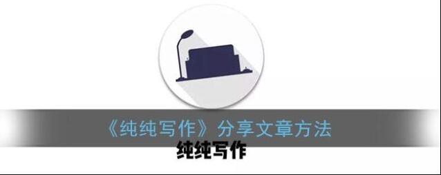 纯纯写作分享