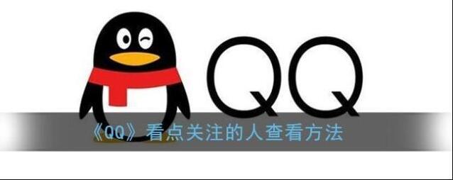 QQ的人