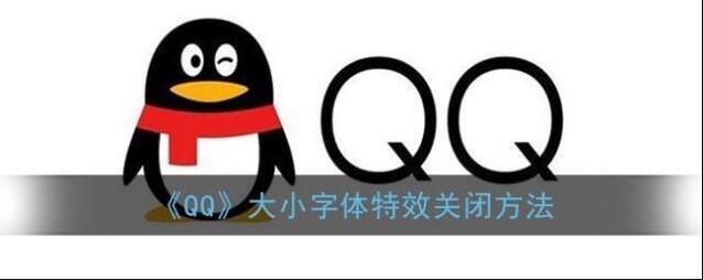 QQ随便发