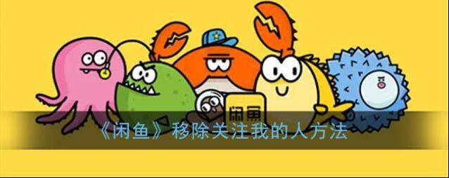 闲鱼粉丝