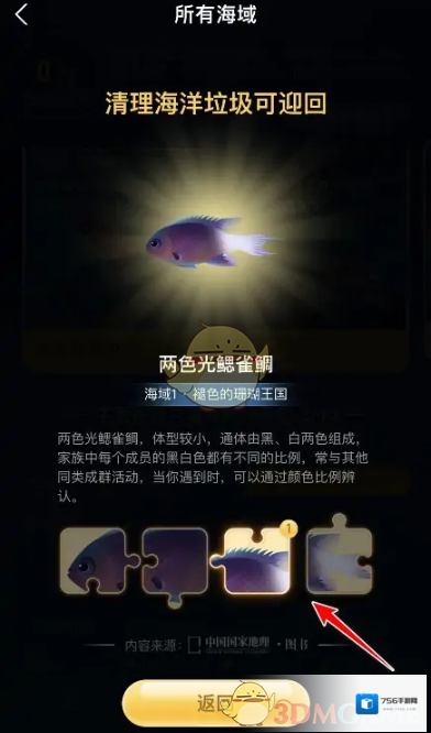 支付宝海洋