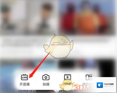 哔哩哔哩选项