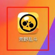 荒野乱斗观战