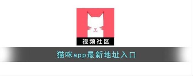 猫咪app最新地址入口
