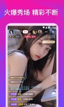 猫咪app资源