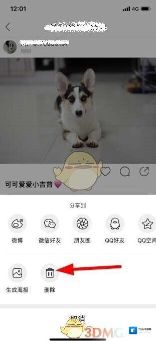 新浪绿洲图标