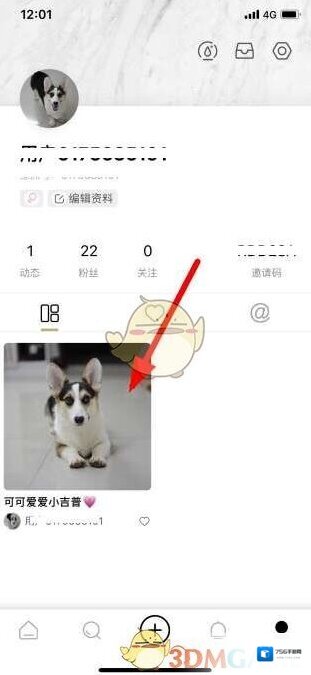 新浪绿洲动态