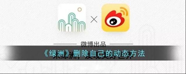 新浪绿洲绿洲