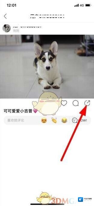 新浪绿洲打开
