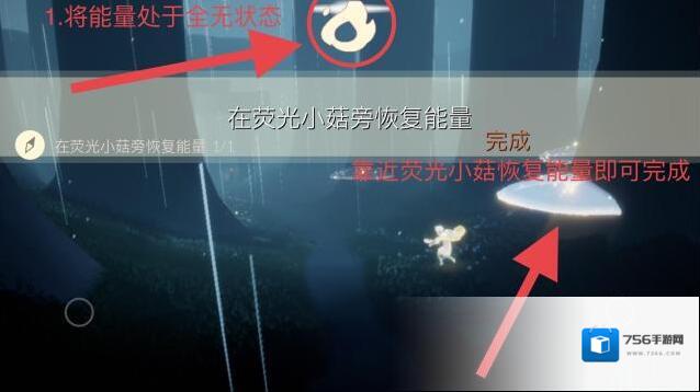 光遇雨林地图