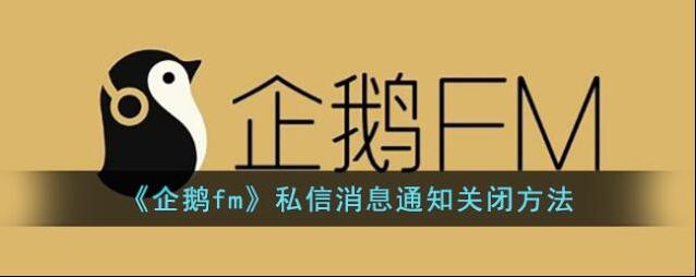 企鹅FM私信